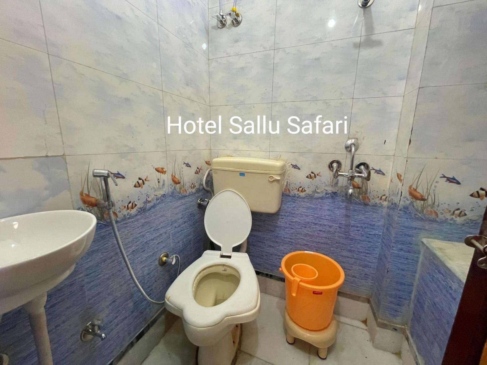 Hotel Sallu Safari Jaisalmer Extérieur photo